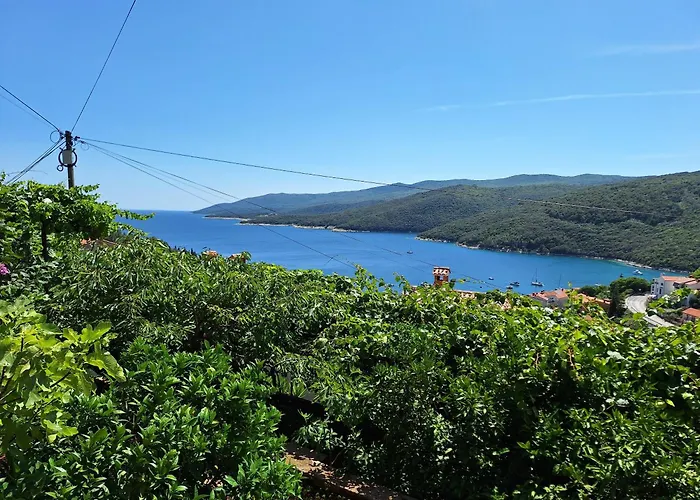 Brezac Rabac